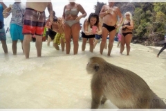 mimi-on-tour-phi-phi-island-22